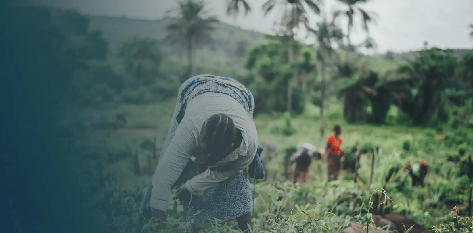 Farming